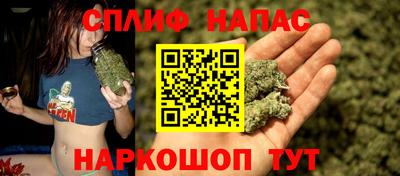 прущие грибы Кунгур
